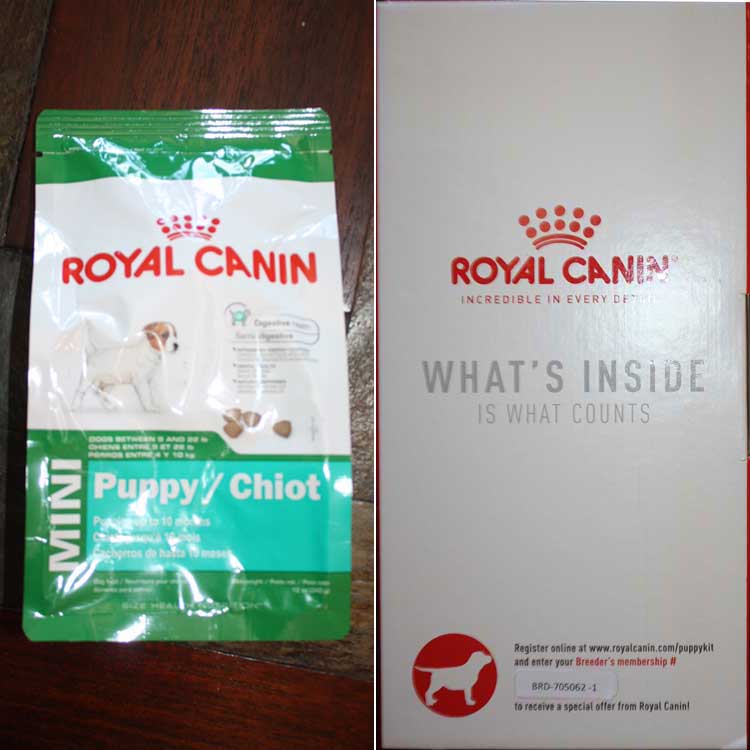 Steps to Purchasing a New Puppy Denning Farms Puppies